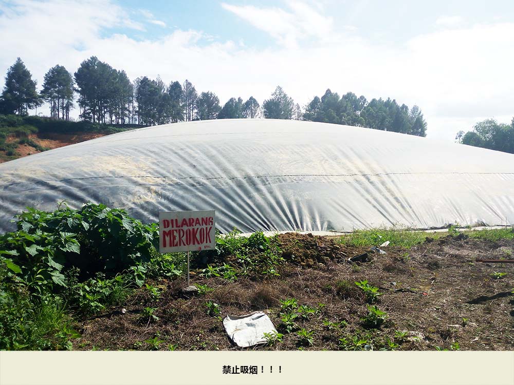 禁止吸煙.jpg 禁止吸煙.jpg